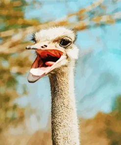 Ostrich Tongue Diamond Painting