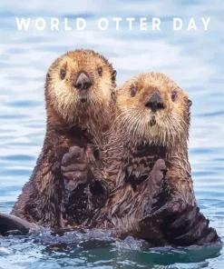 Otters Holding Hands Diamond Painting