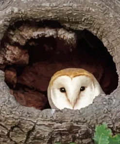 Owl Tree Hole Diamond Painting
