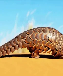 Pangolin Animal Diamond Painting