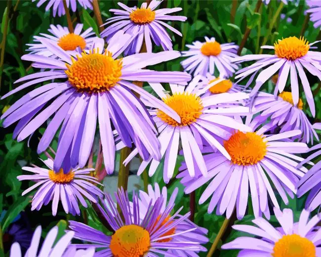 purple aster flowers Diamond Paints Purple Aster Flowers Diamond Painting