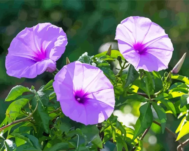 purple morning glories Diamond Paintings Purple Morning Glories Diamond Painting