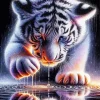 Sad Tiger Diamond Painting