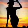 Silhouette Cowgirl Art Diamond Painting