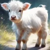 White Scottish Cow Diamond Painting