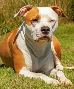 Aesthetic Staffordshire Brown Art Diamond Painting