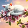 Sleeping Cat Diamond Painting