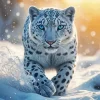 Snow Leopard Art Diamond Painting
