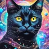 Space Black Cat Diamond Painting