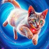 Space Cat Diamond Painting