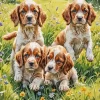 Spaniel Puppys Art Diamond Painting